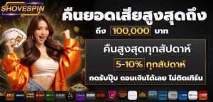 ทำความเข้าใจแพลตฟอร์มแบบครบวงจร: ความสะดวกสบายที่เหนือกว่า-Shovespin